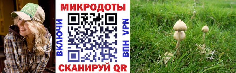 blacksprut как войти  Никольск  Псилоцибиновые грибы Magic Shrooms 